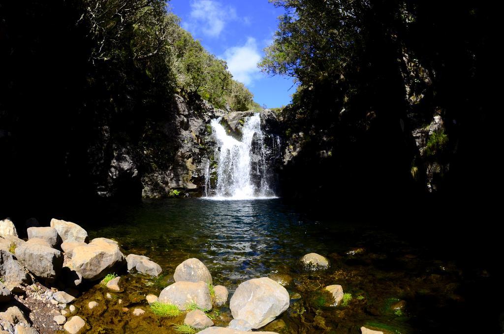 Vila Toca Daire Funchal Dış mekan fotoğraf