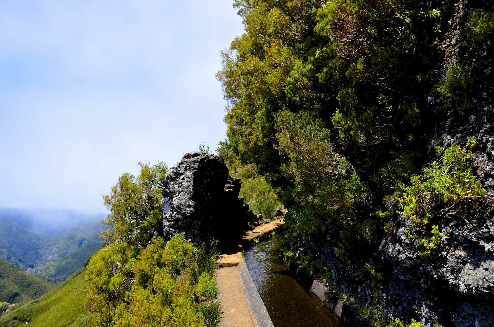 Vila Toca Daire Funchal Dış mekan fotoğraf