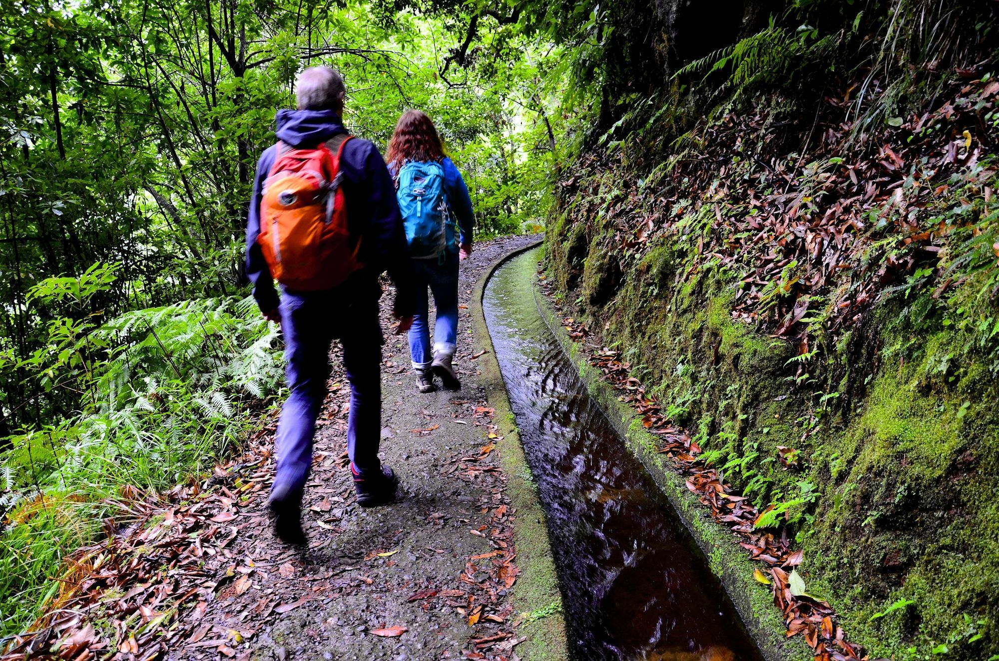 Vila Toca Daire Funchal Dış mekan fotoğraf