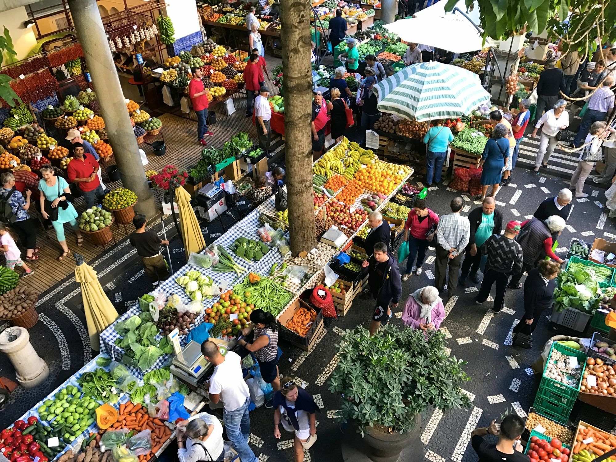 Vila Toca Daire Funchal Dış mekan fotoğraf